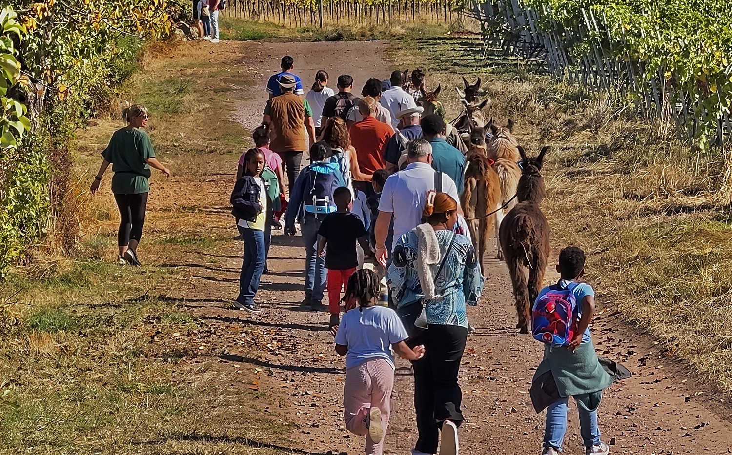Lama-Wanderung_Gruppe von hinten